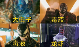 毒液短视频,揭示神秘外星生物的惊悚之旅